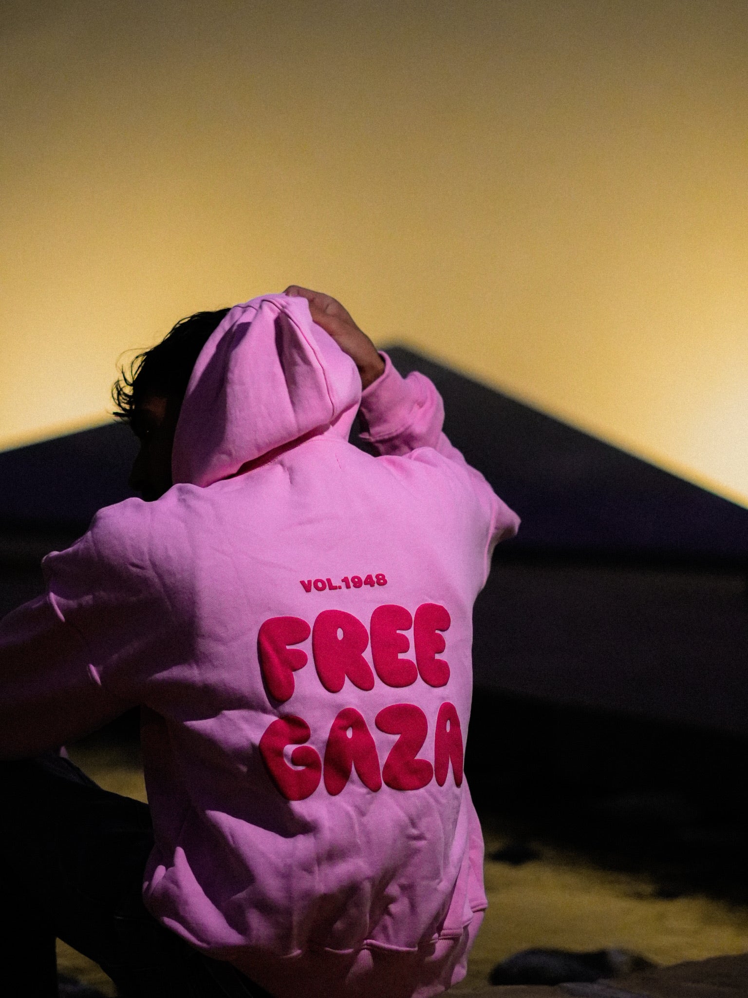 Vol. 1948 Hoodie - Pink