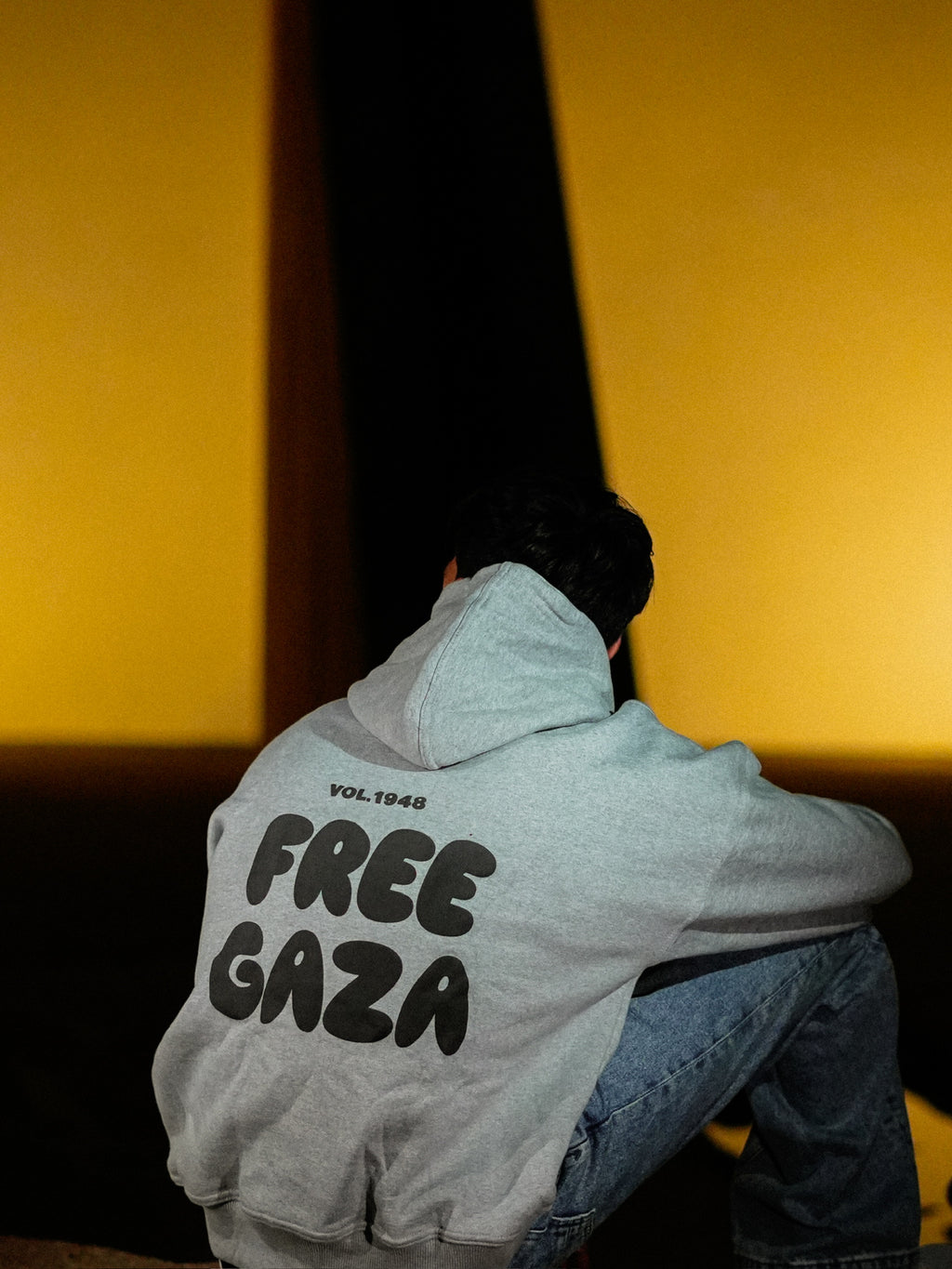 Vol. 1948 Hoodie - Grey